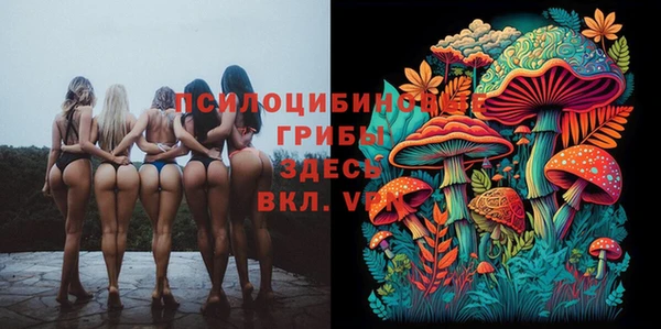 каннабис Богданович