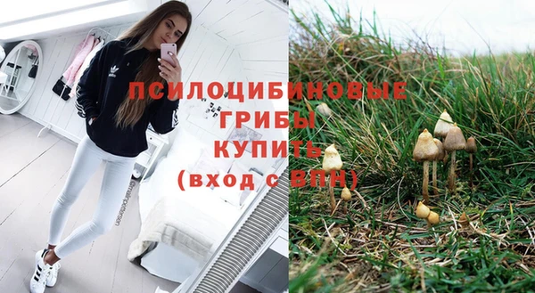 кокаин премиум Богородицк